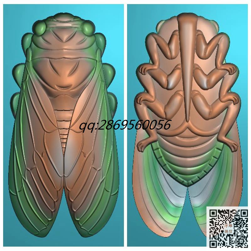 1206蝉一鸣惊人.jpg